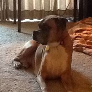 Meet your Posher, Michael